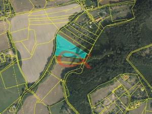 Prodej pole, Krhová, 6015 m2