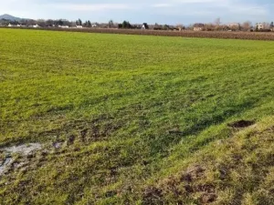 Pronájem zahrady, Kopřivnice, 700 m2