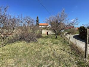 Prodej vinného sklepa, Valtice, 60 m2