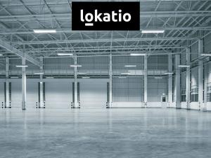 Pronájem skladu, Most - Čepirohy, 9331 m2