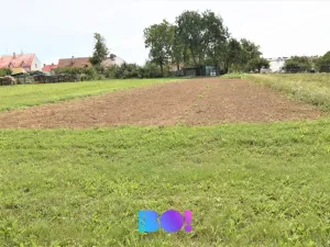 Prodej pozemku pro bydlení, Beňov, 5182 m2