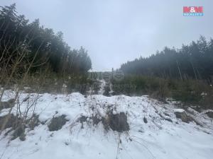 Prodej lesa, Bozkov, 70240 m2