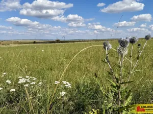 Prodej pozemku pro komerční výstavbu, Znojmo, 22332 m2