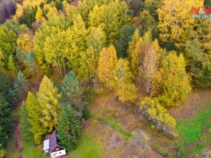 Prodej lesa, Skalice u České Lípy, 3004 m2