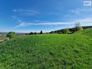 Prodej pozemku pro bydlení, Zduchovice, 2271 m2