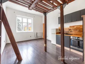 Pronájem bytu 1+kk, Praha - Michle, Michelská, 25 m2