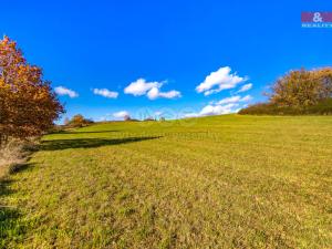 Prodej zemědělské půdy, Kolinec, 6484 m2