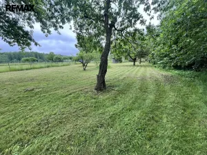 Prodej zahrady, Křinice, 1207 m2