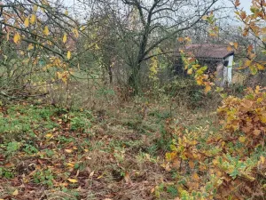 Prodej pozemku pro bydlení, Samotišky, 370 m2