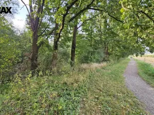 Prodej zahrady, Roudné, 2997 m2