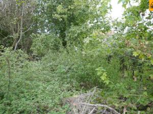 Prodej pozemku pro bydlení, Nemotice, 697 m2