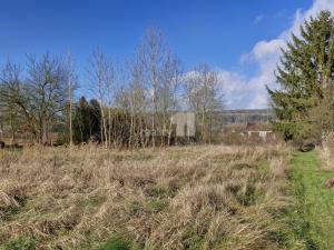 Prodej louky, Dalovice, Sedmidomky, 1669 m2