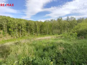 Prodej lesa, Číměř, 17681 m2