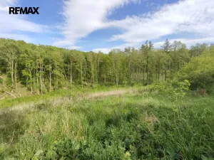 Prodej lesa, Číměř, 17681 m2