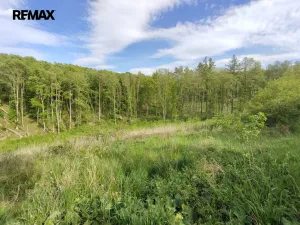 Prodej lesa, Číměř, 17681 m2