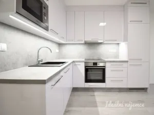 Pronájem bytu 1+kk, Brno - Ponava, Reissigova, 35 m2