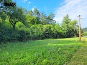 Prodej louky, Sýkořice, 3885 m2