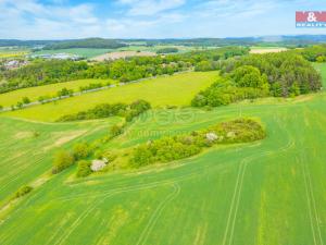 Prodej louky, Lešetice, 6006 m2
