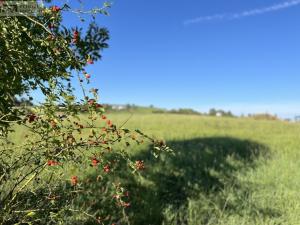 Prodej pozemku pro bydlení, Příbor - Hájov, 1541 m2