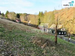 Prodej louky, Krásná Lípa - Dlouhý Důl, 4262 m2