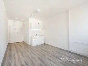 Pronájem bytu 1+kk, Praha - Střížkov, Děčínská, 24 m2