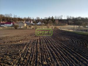 Prodej pozemku pro bydlení, Sedlec, 6937 m2