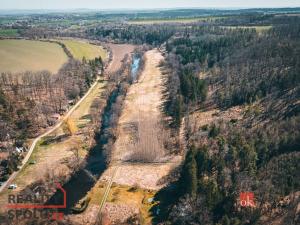 Prodej lesa, Plešnice, 4109 m2