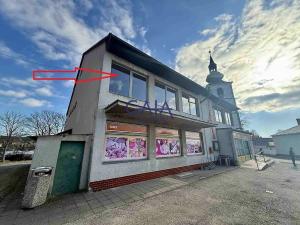 Prodej obchodního prostoru, Staré Město pod Landštejnem, 307 m2