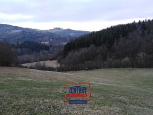 Prodej lesa, Lužná, 13657 m2