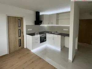 Pronájem bytu 1+1, Ústí nad Labem - Severní Terasa, Glennova, 35 m2