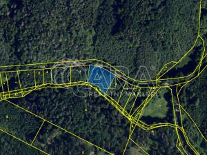 Prodej lesa, Lelekovice, 2035 m2