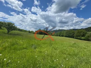 Prodej louky, Nový Hrozenkov, 25140 m2