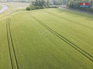 Prodej pole, Opočno, 10638 m2