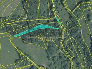 Prodej lesa, Pozlovice, 9893 m2