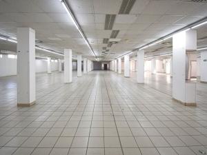 Pronájem obchodního prostoru, Plzeň - Lobzy, Sousedská, 1250 m2