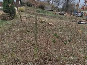 Prodej pozemku pro bydlení, Plzeň, 425 m2