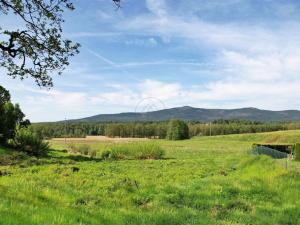 Prodej pozemku pro bydlení, Nová Pec, 942 m2