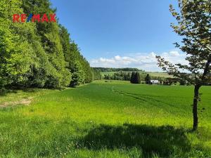 Prodej pozemku pro bydlení, Borová, 5776 m2