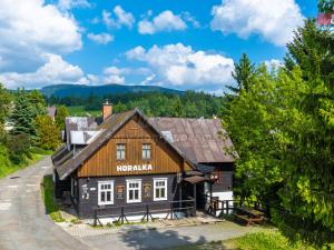 Prodej ubytování, Rokytnice nad Jizerou - Horní Rokytnice, 374 m2