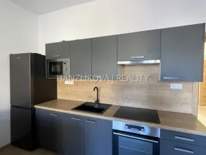 Pronájem bytu 2+kk, České Budějovice, 56 m2