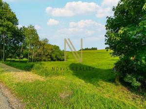 Prodej pozemku pro bydlení, Hořice na Šumavě, 975 m2