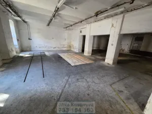 Pronájem výrobních prostor, Krnov - Pod Bezručovým vrchem, Hlubčická, 533 m2