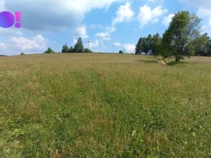 Prodej pole, Křižánky - České Křižánky, 5336 m2