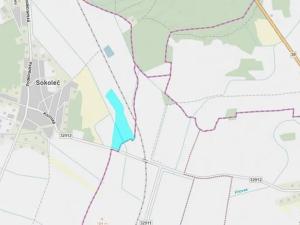 Prodej pole, Sokoleč, 74283 m2