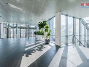 Pronájem kanceláře, Praha - Nové Město, náměstí Republiky, 194 m2