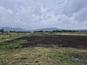 Prodej pozemku pro bydlení, Dolní Dunajovice, Pálavská, 1250 m2