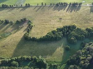 Prodej louky, Rožmitál na Šumavě, 52665 m2