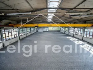 Pronájem skladu, Valtice, Zámek, 1192 m2