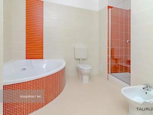 Prodej bytu 2+1, Janovice nad Úhlavou, Rozvojová zóna, 74 m2