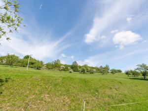 Prodej pozemku, Velká Bukovina, 3186 m2